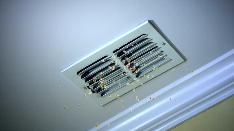 Best HVAC Air Duct Cleaning  in Westminster, TX