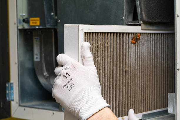 Best Affordable Air Duct Cleaning  in Westminster, TX