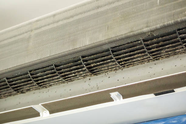Best Commercial HVAC Duct Cleaning  in Westminster, TX